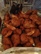 Deep Fried Shrimp